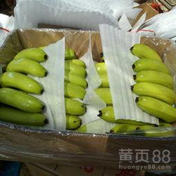 精品香蕉代办,轻松享受健康美味