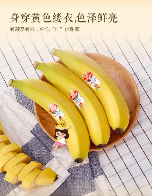 精品香蕉是进口香蕉么,探寻高品质香蕉的秘密