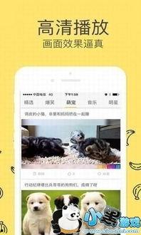 大香蕉免费在线视频,畅享视听盛宴的秘密基地