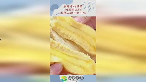 香蕉精品不卡,畅享无拘无束的视听盛宴