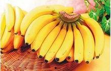 香蕉一级精品404,探寻品质与口感的双重享受